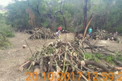 IMG-20200214-WA0019
