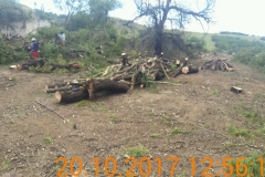 IMG-20200214-WA0020