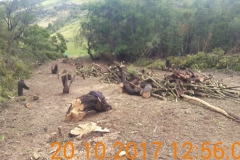 IMG-20200214-WA0021